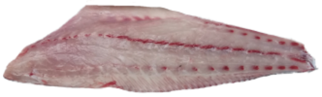 STICK. Stonebass Fillet Large. Each (priced in kilos)