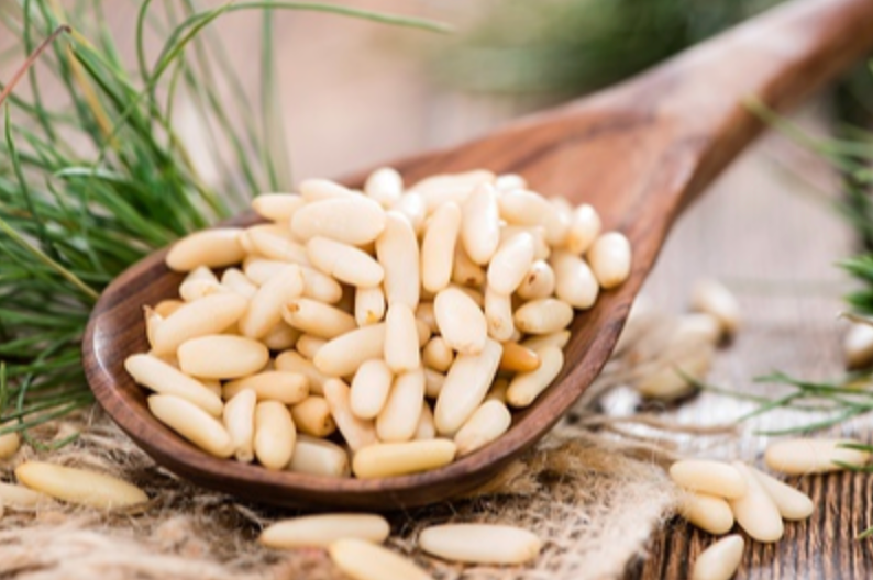 118204 SAV. Curtis Pine Nut Kernels 1kg