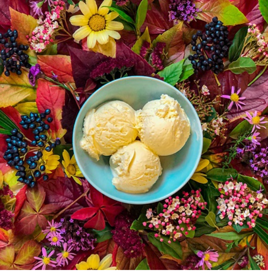363196 SAV. Frozen Marshfield Farm Plant Based Vanilla Ice Cream 2.4ltr