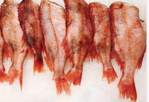 STICK. Red Bream Wild Icelandic, Filleted, Pin Boned & Scaled, Whole 1-2kg
