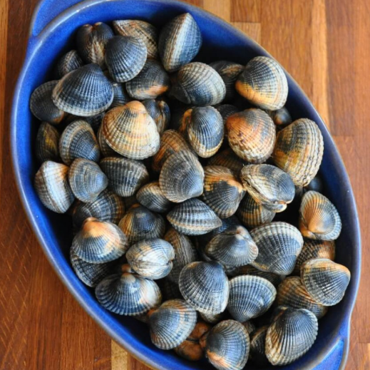 320 STICK. Cockles Live in Shell 1kg