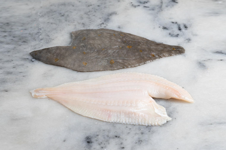 STICK. Plaice Fillet Skin On 170-220g each.