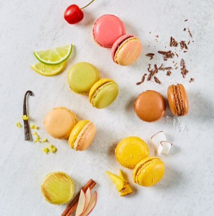 311569 SAV. Frozen Bridor Assorted French Macarons 12g (48 Pack)