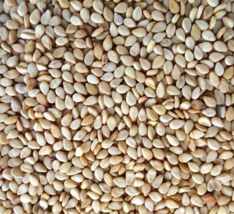 Elite. Caterfood Select Whole Sesame Seeds 550g