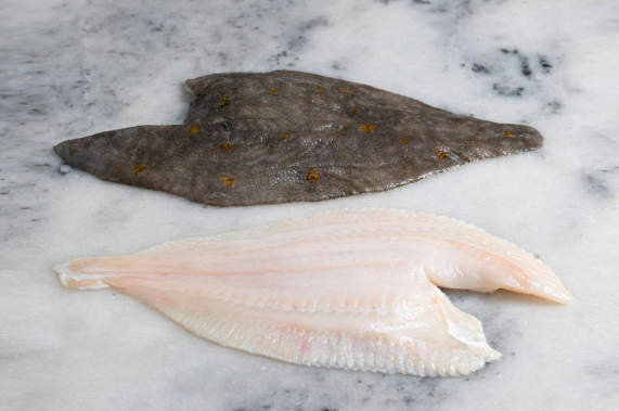 1627 STICK. Plaice Whole 400-600g each SKIN OFF