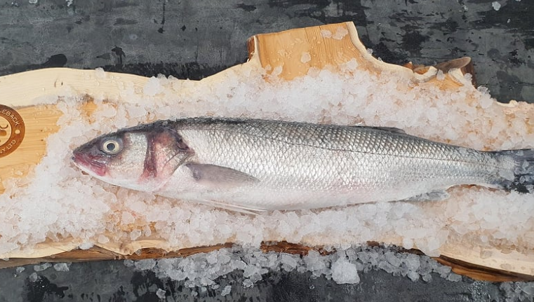 STICK. Bass Wild Whole 1-2kg. Filleted Traditional Pin Boned & Scaled Price by kilo. Each