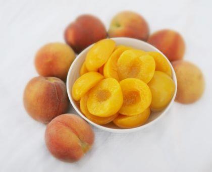 Elite. apricot Halves 2.5kg Riverdene