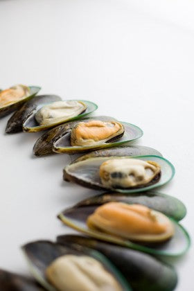 Elite. Mussels Chilean Large 1KG