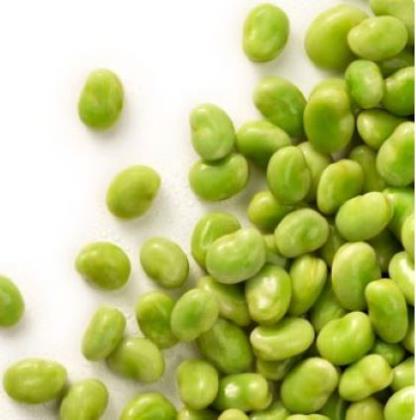 Elite. Darta Fine Broad Beans 1KG
