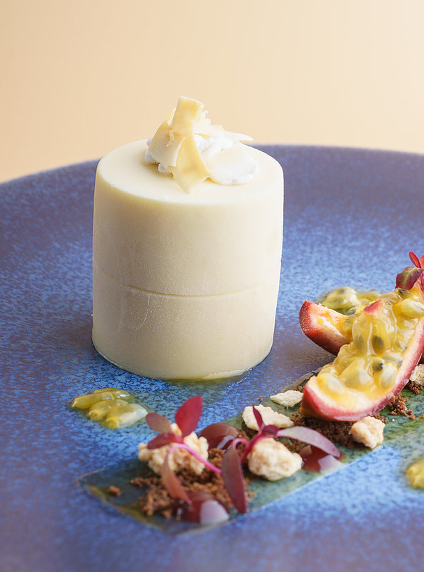 FR21/08. PLANT BASED coconut & passion fruit panna cotta. x20