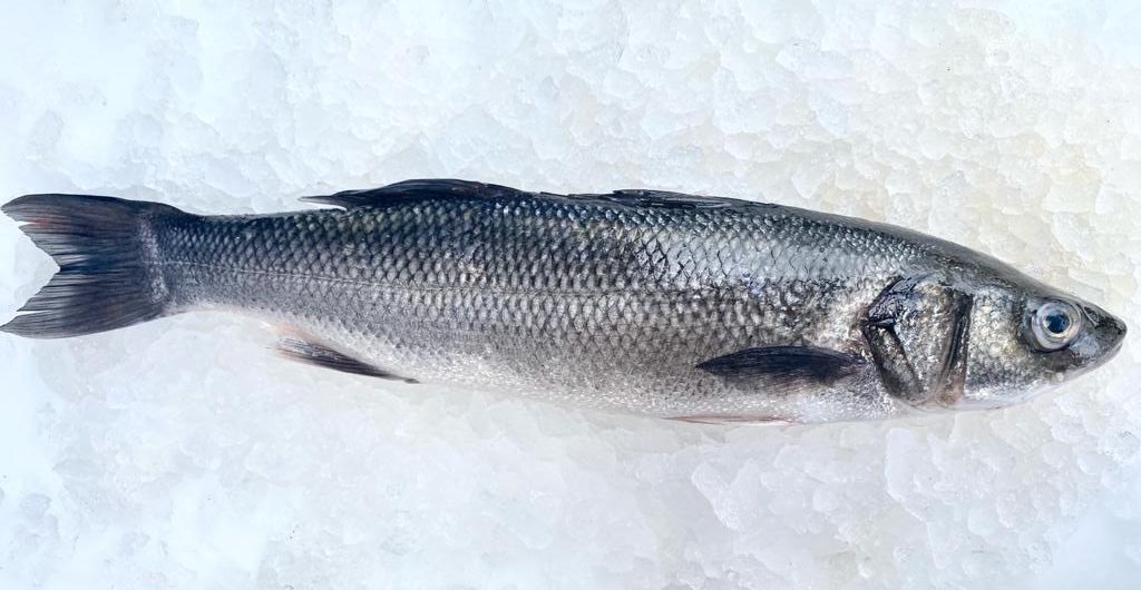 CHAP. Wild Whole Bass Scaled & Gutted. kilo each priced by kg