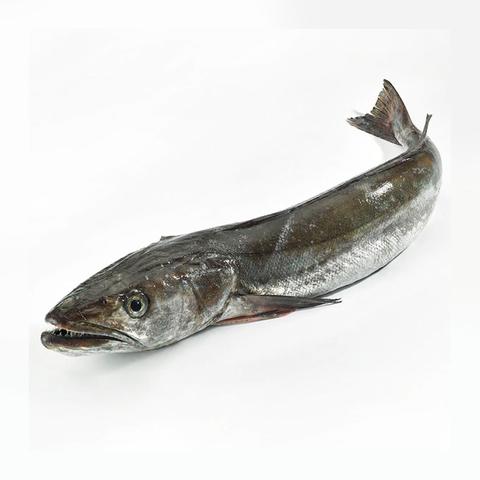 CHAP. Hake Whole 2KG + HEAD ON kg