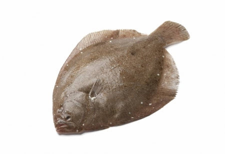 STICK. Brill, Filleted & Pin Boned, Whole 500-1000g
