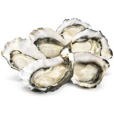 STICK. Oysters Pacific each
