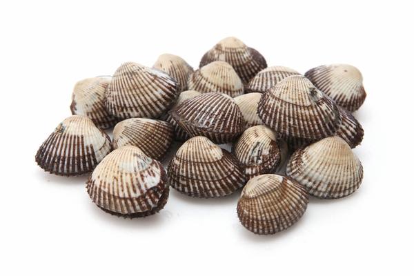 CHAP. Cockles Live in Shell 1kg