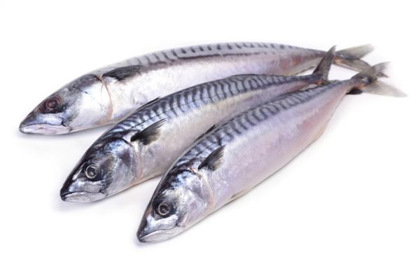 1332 STICK. Mackerel Whole Medium (A) priced by kg.