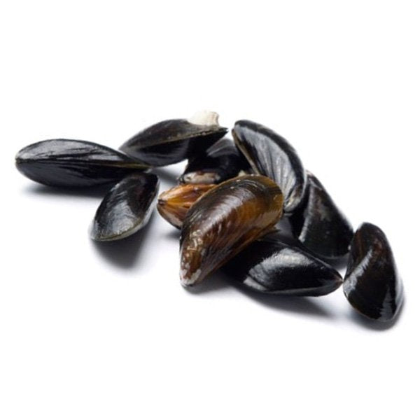 CHAP. Mussels Rope Grown Live 2kg