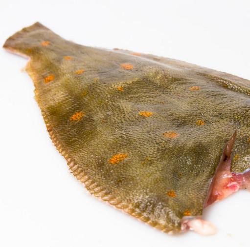 CHAP. Plaice Fillets 140-170g each. Priced by kg.