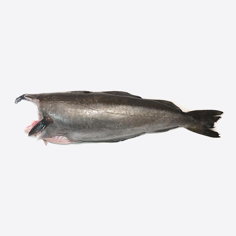 1669 STICK. Pollock Head Less 1kg+ Kg. Each. Priced by kilo