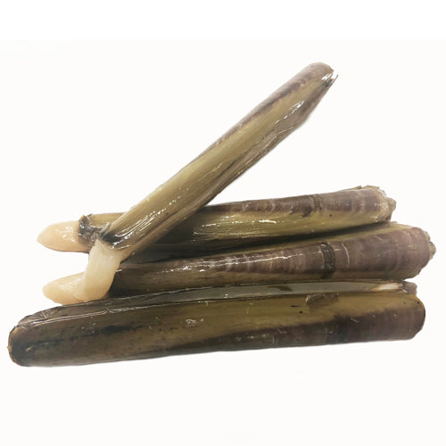 CHAP. Razor Clams (medium) Live Kg