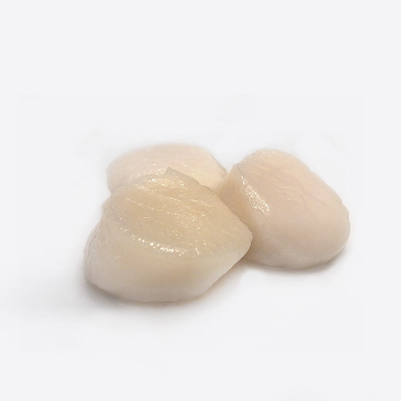 STICK. Scallop Meat Roeless 20-30 count 1kg