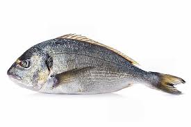 202 STICK. Sea Bream (Gilt) Whole. each. price by KG