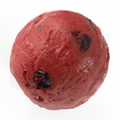 Elite. Bennetts Sorbet Blackcurrant Bennetts    2.45LTR