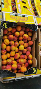 Apricots. kilo