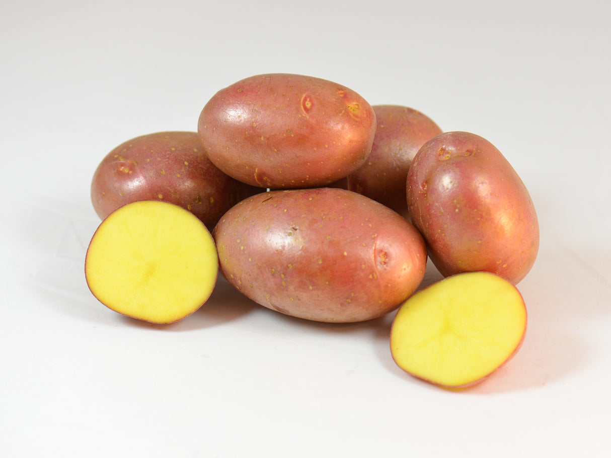 NAT. Potatoes Jumbo Reds 25 Kilo Bag