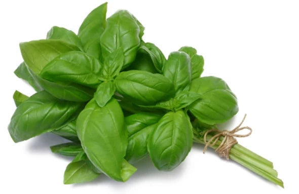 Elite. Basil 100g bunch