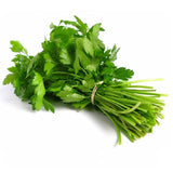Elite. Coriander 100g bunch