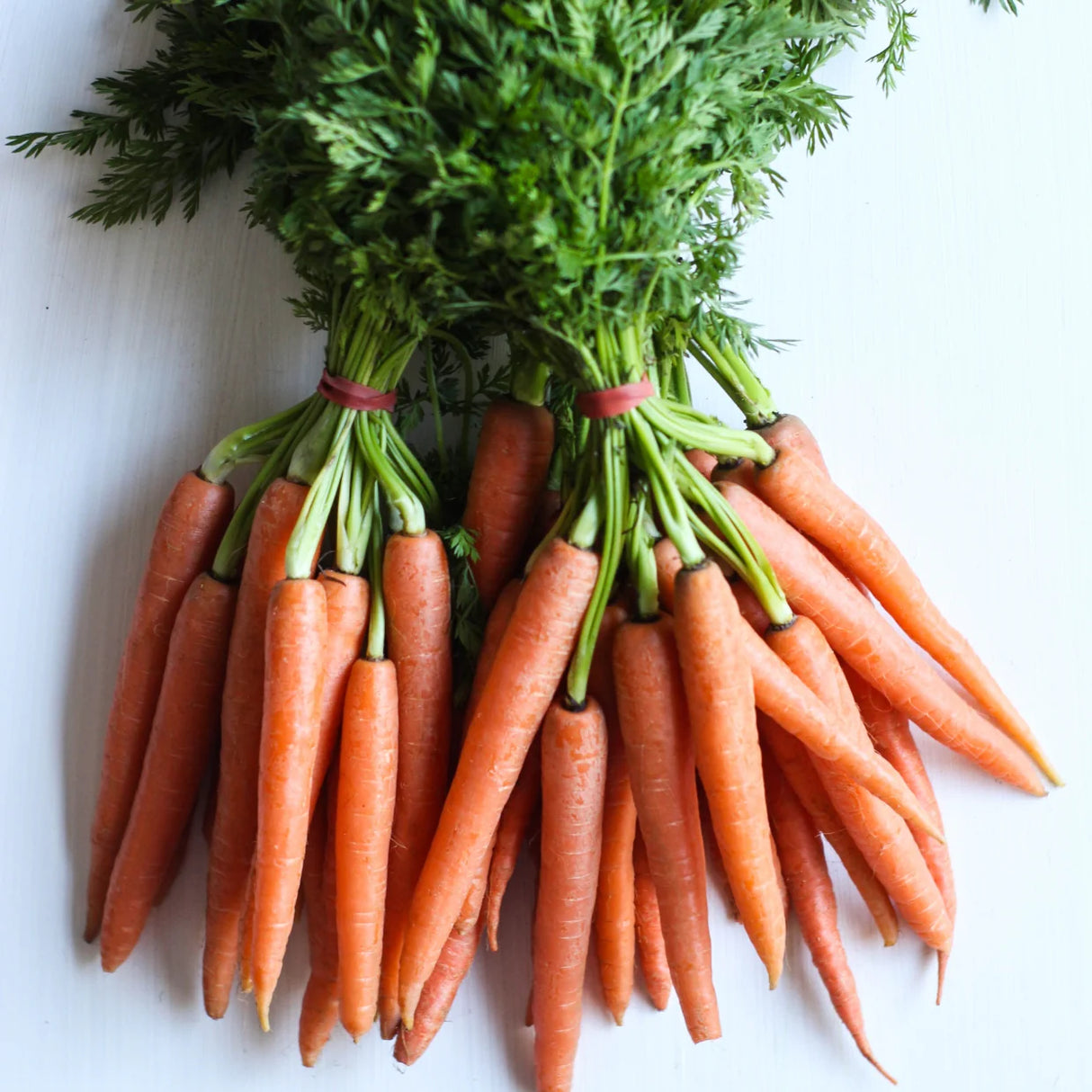 NAT. Carrots with Tops Bunch