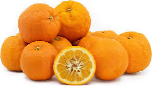 Oranges Seville. Kilo