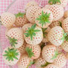 Load image into Gallery viewer, Berry. Strawberry White x12 punnet
