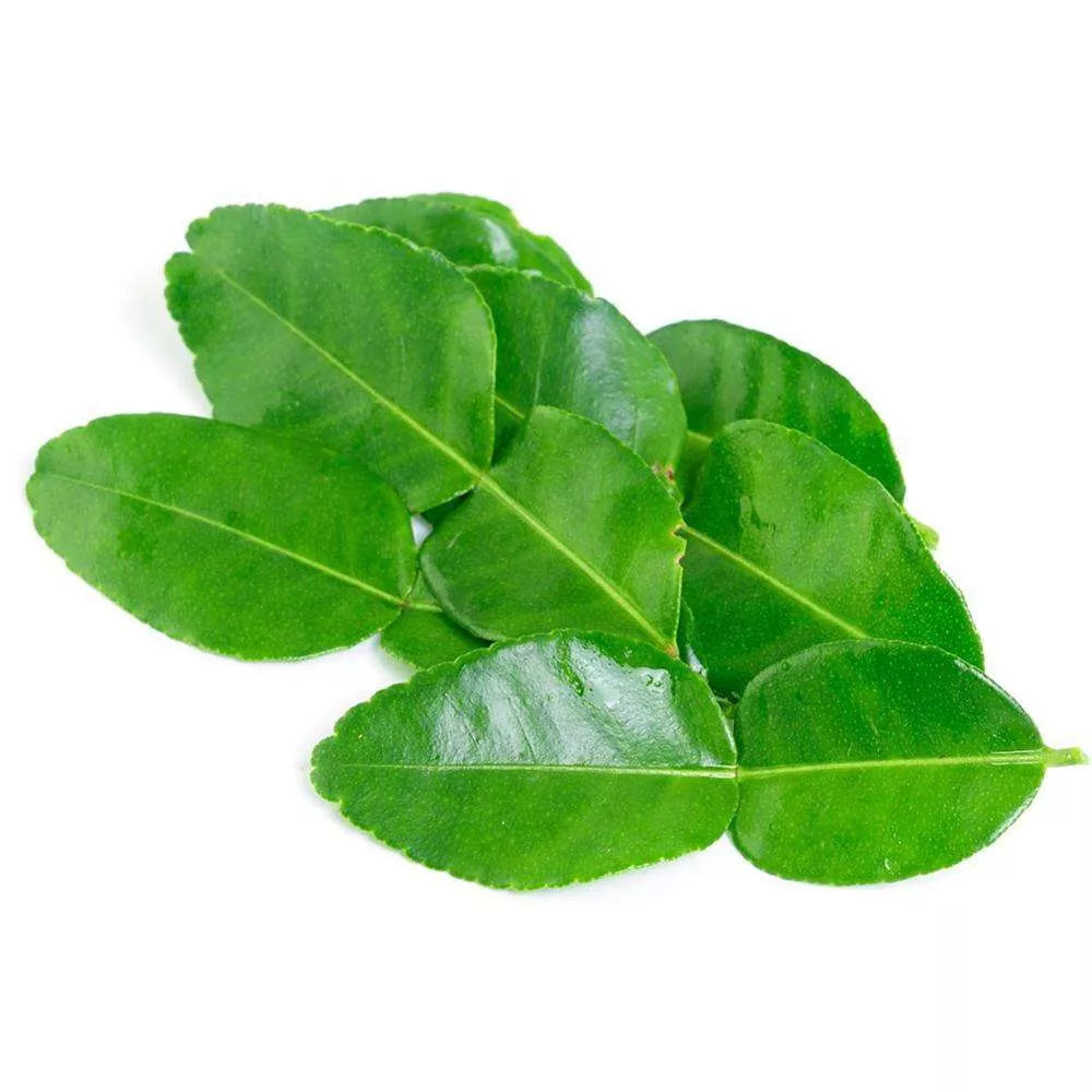 Elite. Fresh Lime Leaves 1x20g