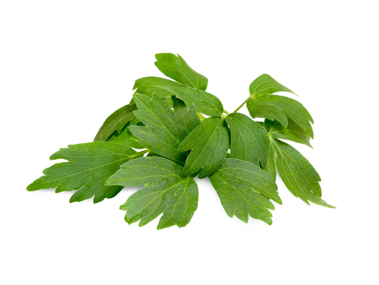 SUP. Lovage Bunch