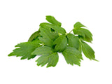 SUP. Lovage Bunch