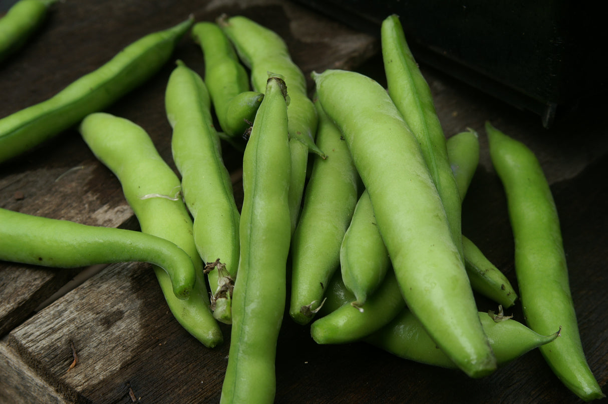 NAT. Broad Beans 4 Kilo Box