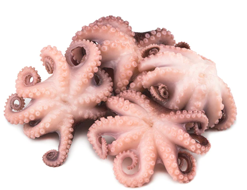 Octopus Baby  1kg Pkt  FR