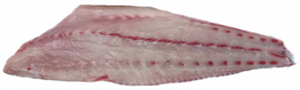 Stonebass Fillet Large. Each (priced in kilos)