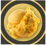 389344 SAV. Gelarto Mango Gelato sorbet 5LTR