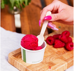 601904 SAV. Vegware Gelato Pot (4oz) 1 x 1000PCS