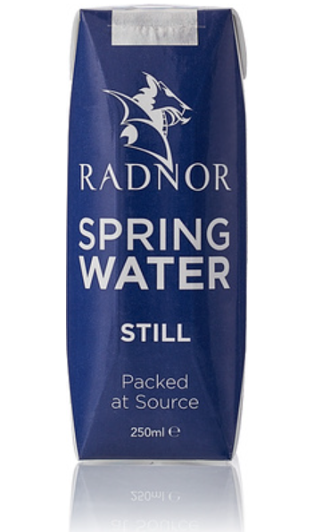 103194 SAV. Radnor Hills Still Spring Water Tetra pak carton 250ml 24 x 250ML