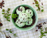 379046 SAV. Marshfield Farm Mint Choc Chip Ice Cream 1 x 4.5LTR