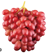 9290 SUP. Grape Red - Black Seedless
