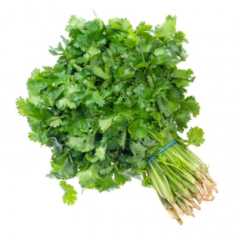 SUP. Coriander Loose 100g bunch