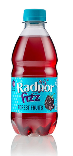 133335 SAV. Radnor Radnor Fizz No Added Sugar forest Fruits Juice Drink 330ml (24 Pack)
