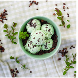 363148 SAV. Frozen Marshfield Farm Mint Choc Chip Ice Cream 125ml (12 Pack)