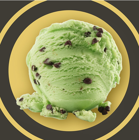 389341 SAV. Frozen Gelarto Ciokomenta Gelato Mint Chocolate Italian Ice Cream 5ltr
