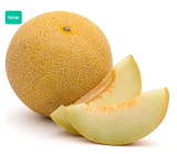 492576 SAV.  Galia Melon Each